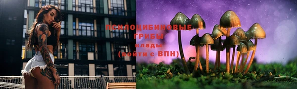марки lsd Армянск